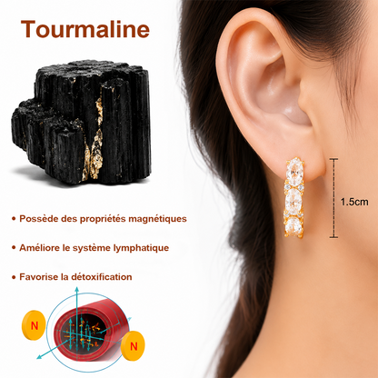 🔥 DERNIER JOUR – JUSQU'À -80 % 💎 Czticle® Boucles d’Oreilles en Germanium Histone Magnetology Lymphvity